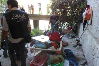 Roma, Raggi: Al via pulizia straordinaria Lungotevere /Foto Roma, Raggi: Al via pulizia straordinaria Lungotevere /Foto