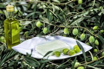 E' made in Italy il brevetto dell’olio spalmabile free E' made in Italy il brevetto dell’olio spalmabile free