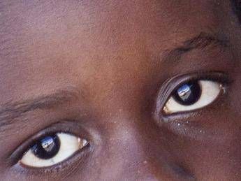 Arrivano da clandestini ma sono terroristi, nuovo affondo di Calderoli contro gli immigrati Arrivano da clandestini ma sono terroristi, nuovo affondo di Calderoli contro gli immigrati