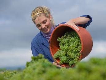 Giovane e attento alla filiera corta, l'identikit dello startupper agricolo Giovane e attento alla filiera corta, l'identikit dello startupper agricolo