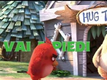 E' l'uccellino Red del film 'Angry birds' il nuovo ambasciatore Onu per l’ambiente E' l'uccellino Red del film 'Angry birds' il nuovo ambasciatore Onu per l’ambiente