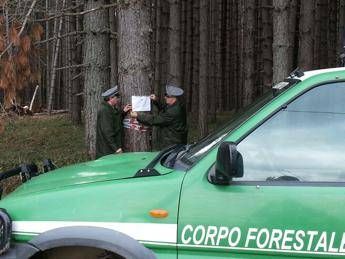 Cosenza, indagati dirigenti Calabria Verde: Corpo forestale sequestra 1.300 ettari di bosco /Video Cosenza, indagati dirigenti Calabria Verde: Corpo forestale sequestra 1.300 ettari di bosco /Video