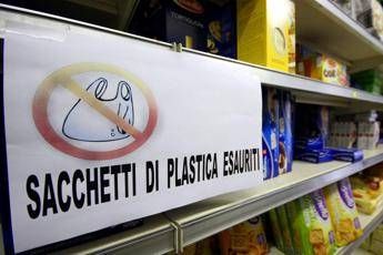 Con la legge è stato ridotto del 50% l'utilizzo dei sacchetti di plastica Con la legge è stato ridotto del 50% l'utilizzo dei sacchetti di plastica