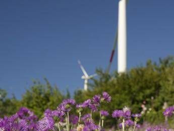 Eolico, Erg è il primo operatore in Italia con 1.095 MW installati/ Speciale Eolico, Erg è il primo operatore in Italia con 1.095 MW installati/ Speciale