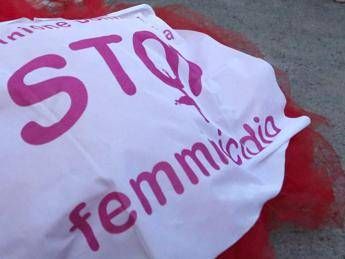 Femminicidio, Senato approva commissione d'inchiesta Femminicidio, Senato approva commissione d'inchiesta