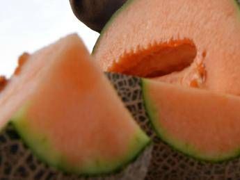 Occhio ad allergia al melone, mix con reattività ai pollini Occhio ad allergia al melone, mix con reattività ai pollini
