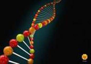 Siamo tutti geni, 'La dieta del Dna' Siamo tutti geni, 'La dieta del Dna'