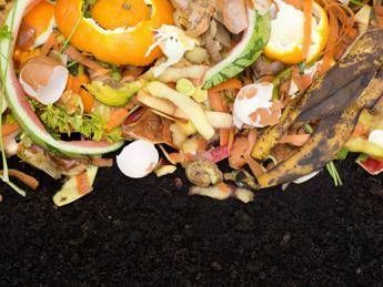 Biowaste di qualità, al via le iscrizioni al premio 'Il Comune più organico' Biowaste di qualità, al via le iscrizioni al premio 'Il Comune più organico'