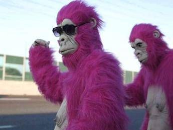 Guerrilla marketing, gorilla rosa 'avvistati' a Milano Guerrilla marketing, gorilla rosa 'avvistati' a Milano