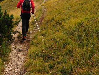 Boom di guide ambientali, pronte per accompagnare 1,4 mln di turisti Boom di guide ambientali, pronte per accompagnare 1,4 mln di turisti