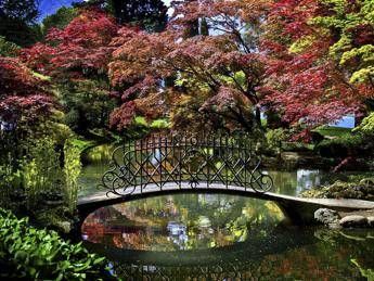 Dall'oro al bordeaux, tutti i colori dell'autunno in 33 Grandi Giardini /Foto Dall'oro al bordeaux, tutti i colori dell'autunno in 33 Grandi Giardini /Foto