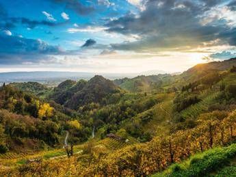 La terra del Prosecco si candida a Patrimonio dell'Umanità La terra del Prosecco si candida a Patrimonio dell'Umanità