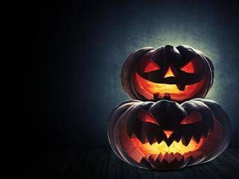 Un ortaggio 'da paura', la zucca regina di Halloween Un ortaggio 'da paura', la zucca regina di Halloween
