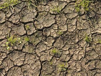 Global Warming, in Italia primavera 2017 la seconda più calda dal 1800 Global Warming, in Italia primavera 2017 la seconda più calda dal 1800