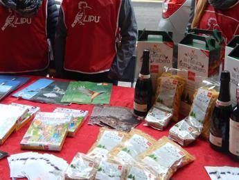 Lipu in piazza con i banchetti del 'Natale per la Natura' Lipu in piazza con i banchetti del 'Natale per la Natura'