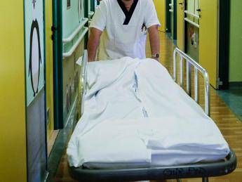 Meningite, donna muore a La Spezia Meningite, donna muore a La Spezia