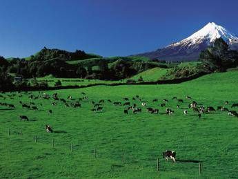 Gas serra e inquinamento, pressioni ambientali in aumento in Nuova Zelanda Gas serra e inquinamento, pressioni ambientali in aumento in Nuova Zelanda