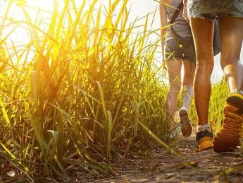 Turismo ambientale, nasce la guida specializzata in Accompagnamento inclusivo Turismo ambientale, nasce la guida specializzata in Accompagnamento inclusivo