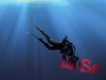 'Rane Nere nel blu', al Muse breve storia delle immersioni 'Rane Nere nel blu', al Muse breve storia delle immersioni