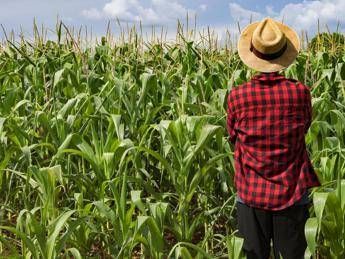 Bene Italia in 'agricoltura sostenibile', settima su 25 Paesi Bene Italia in 'agricoltura sostenibile', settima su 25 Paesi