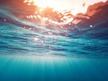 Studio: sul marine litter contaminanti come mercurio e Ddt Studio: sul marine litter contaminanti come mercurio e Ddt