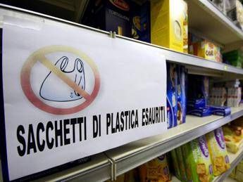 Shopper, 1 su 2 è illegale. Legambiente: Più sequestri e colpire i pesci grossi Shopper, 1 su 2 è illegale. Legambiente: Più sequestri e colpire i pesci grossi