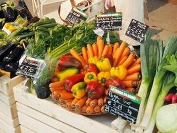 Nuovo layout e tante novità 'Green Lifestyle', a settembre torna il Sana Nuovo layout e tante novità 'Green Lifestyle', a settembre torna il Sana