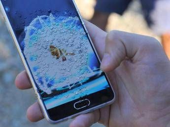 Lo smartphone ti cade in acqua? Fai così Lo smartphone ti cade in acqua? Fai così