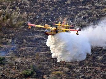 Caldo e incendi, situazione critica per fauna selvatica, posticipare caccia Caldo e incendi, situazione critica per fauna selvatica, posticipare caccia