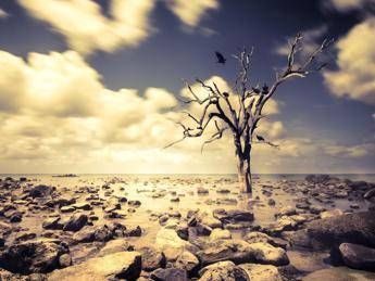 Intelligenza artificiale studia riscaldamento globale e conferma: colpa dell'uomo Intelligenza artificiale studia riscaldamento globale e conferma: colpa dell'uomo