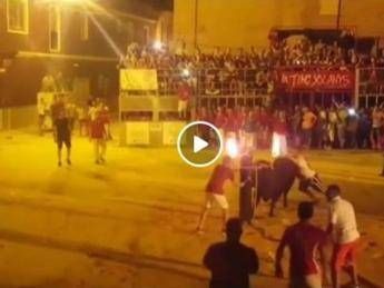 Danno fuoco alle corna del toro, orrore a Foios Danno fuoco alle corna del toro, orrore a Foios