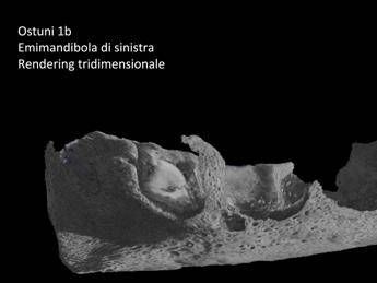 Ultimi mesi di vita di una madre e del figlio vissuti 27mila anni fa svelati da smalto denti Ultimi mesi di vita di una madre e del figlio vissuti 27mila anni fa svelati da smalto denti