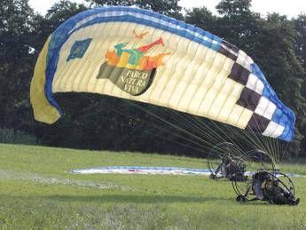Ibis eremita in viaggio, atterraggio in Italia è d'emergenza Ibis eremita in viaggio, atterraggio in Italia è d'emergenza