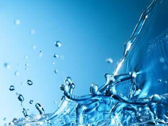 Dall'energia alle bioplastiche, l'oro blu cambierà le nostre vite Dall'energia alle bioplastiche, l'oro blu cambierà le nostre vite