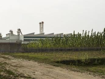 Bonifica ecosostenibile, un bosco in fabbrica per risanare il suolo inquinato a Marcianise /Video Bonifica ecosostenibile, un bosco in fabbrica per risanare il suolo inquinato a Marcianise /Video
