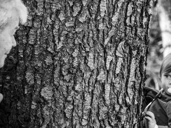 Uno sguardo e un albero, lo scatto 'Complicità' vince il RilegnoPhotoContest Uno sguardo e un albero, lo scatto 'Complicità' vince il RilegnoPhotoContest