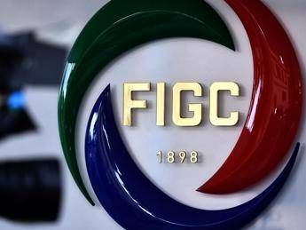 Figc al voto, 29 gennaio elegge il presidente Figc al voto, 29 gennaio elegge il presidente