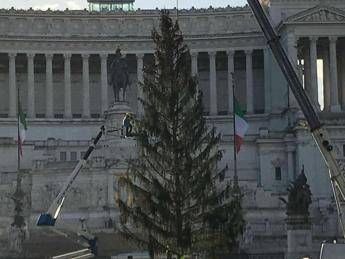 Triste e spelacchiato, tutti contro l'albero di piazza Venezia Triste e spelacchiato, tutti contro l'albero di piazza Venezia