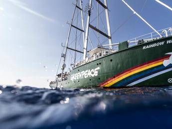 Dal cibo alla moda, il decalogo di Greenpeace per Feste ecosostenibili Dal cibo alla moda, il decalogo di Greenpeace per Feste ecosostenibili
