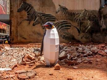 'Pinguini in città', Greenpeace in Antartide per la più grande area protetta 'Pinguini in città', Greenpeace in Antartide per la più grande area protetta