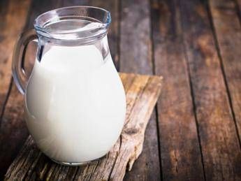 Arriva G+, latte senza lattosio Arriva G+, latte senza lattosio