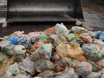 Plastica nell'organico, Paesi Ue a confronto Plastica nell'organico, Paesi Ue a confronto