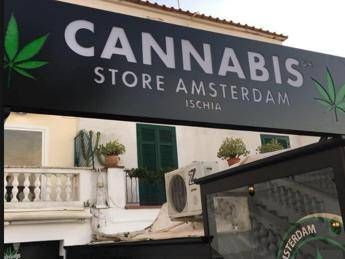 Spot cannabis su scuolabus, genitori in rivolta Spot cannabis su scuolabus, genitori in rivolta