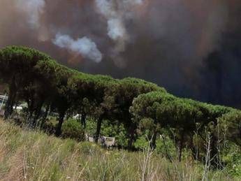 FireAware, l'app gratuita per segnalare gli incendi FireAware, l'app gratuita per segnalare gli incendi