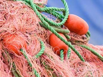 Sostenibilità, clima e inquinamento: le sfide della pesca Sostenibilità, clima e inquinamento: le sfide della pesca