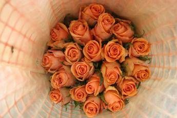 A San Valentino meglio regalare fiori certificati, belli e sostenibili A San Valentino meglio regalare fiori certificati, belli e sostenibili