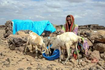 Effetto El Niño, in Etiopia oltre 10 milioni di persone a rischio Effetto El Niño, in Etiopia oltre 10 milioni di persone a rischio