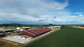 Il biogas che sostiene le stalle italiane, succede a Candiolo Il biogas che sostiene le stalle italiane, succede a Candiolo