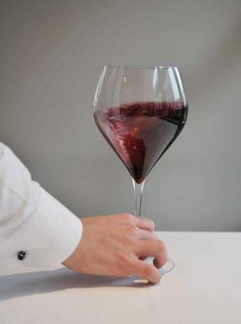 Le vespe fermentano meglio il vino, lo dice la scienza Le vespe fermentano meglio il vino, lo dice la scienza