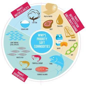Wwf, aziende leader ancora lente nel ridurre impatti su foreste, pesca e agricoltura Wwf, aziende leader ancora lente nel ridurre impatti su foreste, pesca e agricoltura